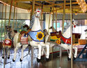 Parker Flag Horse and Inside Row Jumper